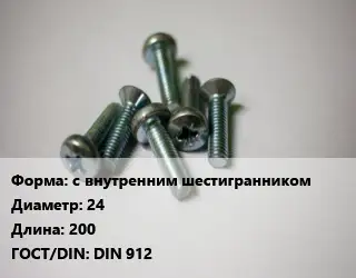 Винт с внутренним шестигранником 24х200 DIN 912